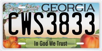 GA license plate CWS3833