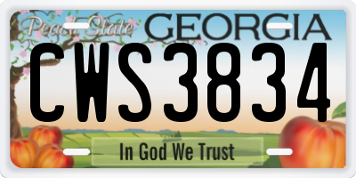 GA license plate CWS3834