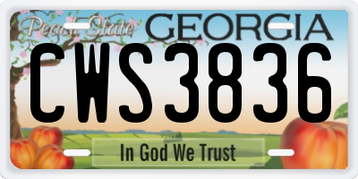 GA license plate CWS3836