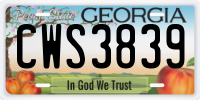 GA license plate CWS3839