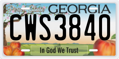 GA license plate CWS3840