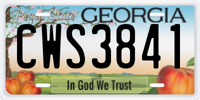 GA license plate CWS3841