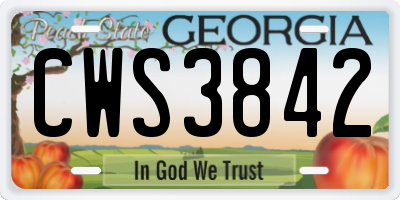 GA license plate CWS3842