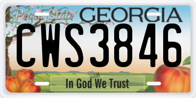 GA license plate CWS3846