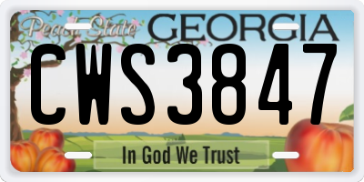 GA license plate CWS3847