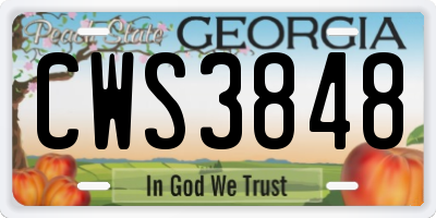 GA license plate CWS3848
