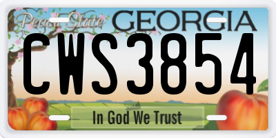 GA license plate CWS3854