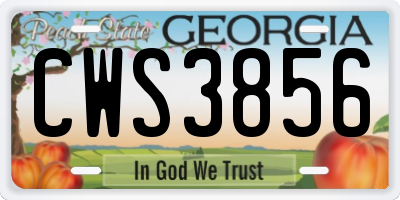 GA license plate CWS3856