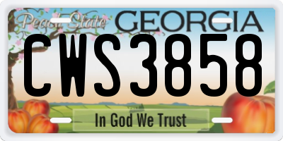 GA license plate CWS3858