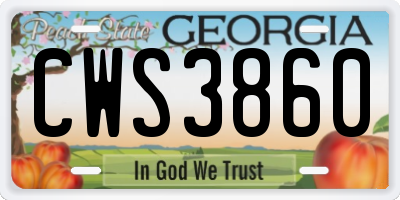 GA license plate CWS3860