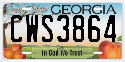 GA license plate CWS3864