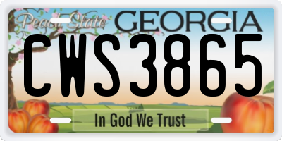 GA license plate CWS3865