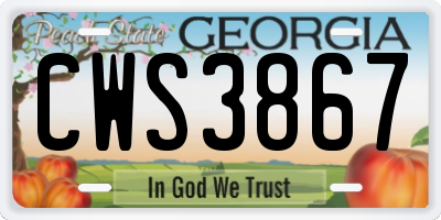 GA license plate CWS3867