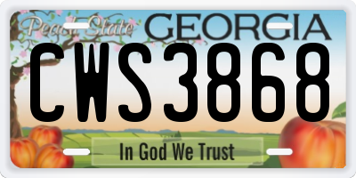 GA license plate CWS3868