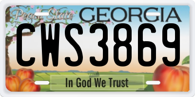 GA license plate CWS3869