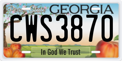 GA license plate CWS3870