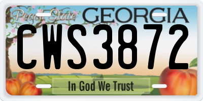 GA license plate CWS3872
