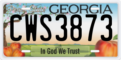 GA license plate CWS3873