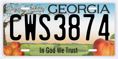 GA license plate CWS3874