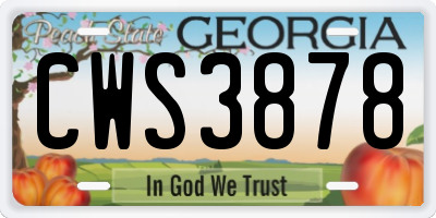 GA license plate CWS3878