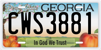 GA license plate CWS3881