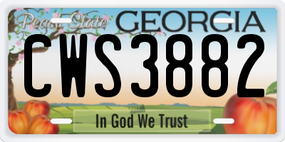 GA license plate CWS3882
