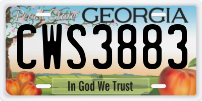 GA license plate CWS3883