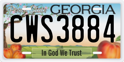 GA license plate CWS3884