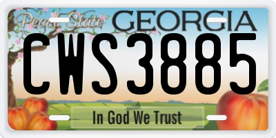 GA license plate CWS3885
