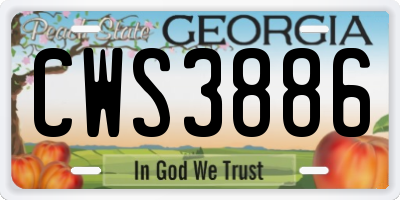 GA license plate CWS3886