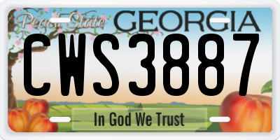 GA license plate CWS3887