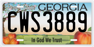 GA license plate CWS3889