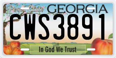 GA license plate CWS3891