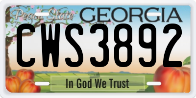 GA license plate CWS3892