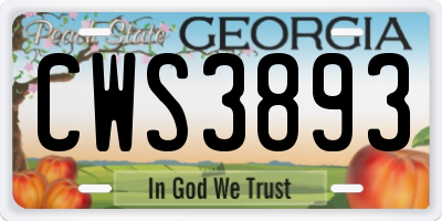GA license plate CWS3893