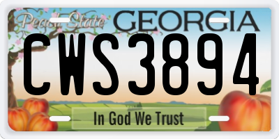 GA license plate CWS3894
