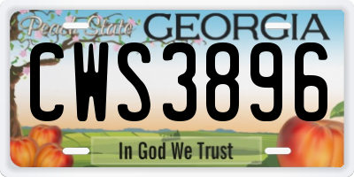 GA license plate CWS3896