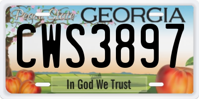 GA license plate CWS3897