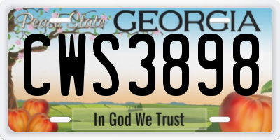 GA license plate CWS3898