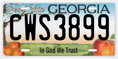 GA license plate CWS3899