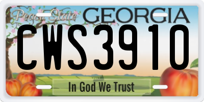 GA license plate CWS3910