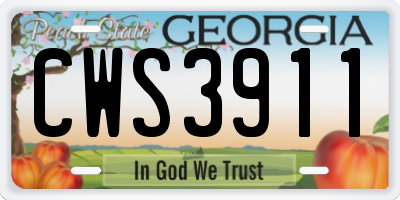 GA license plate CWS3911