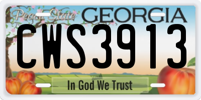 GA license plate CWS3913