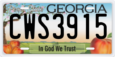 GA license plate CWS3915