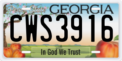 GA license plate CWS3916
