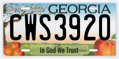 GA license plate CWS3920