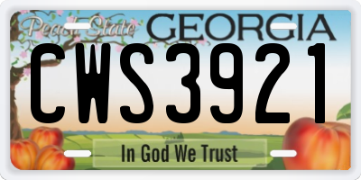 GA license plate CWS3921