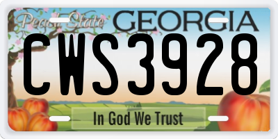 GA license plate CWS3928