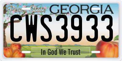 GA license plate CWS3933