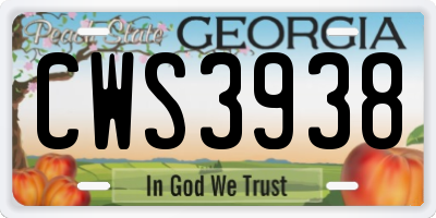 GA license plate CWS3938